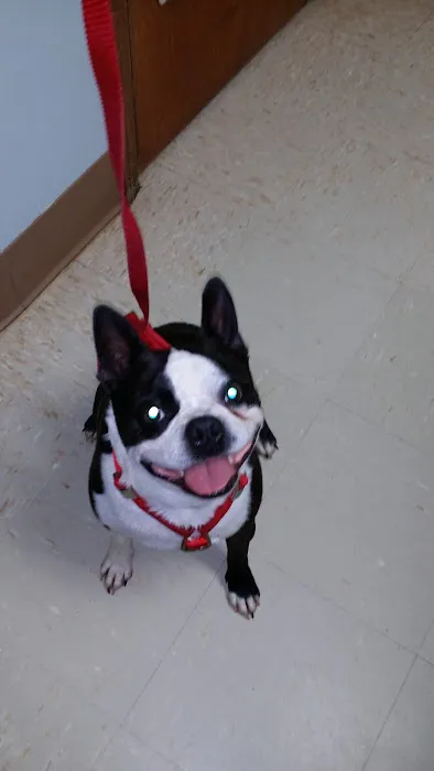 Montgomery Animal Clinic Picture 6