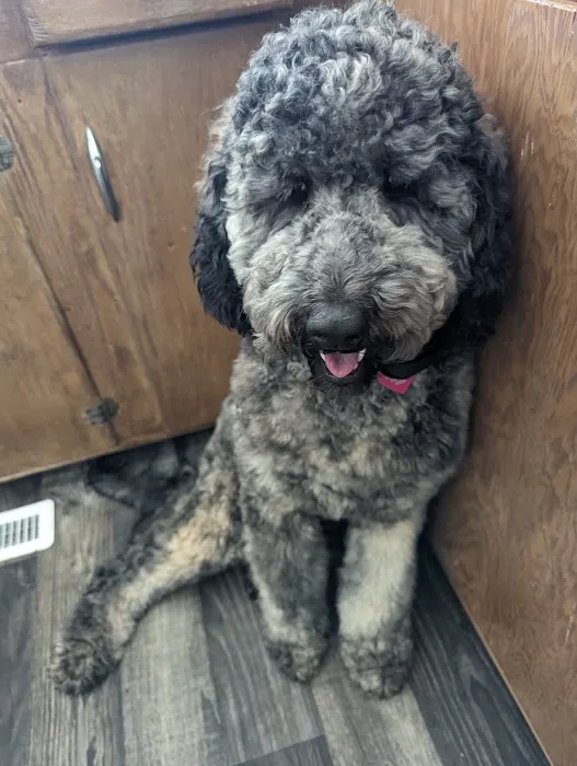 Montgomery Animal Clinic Picture 4