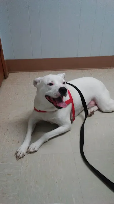 Montgomery Animal Clinic Picture 7