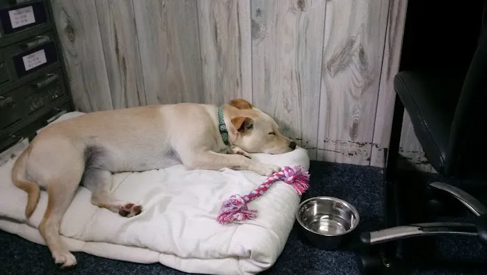 Locust Animal Clinic Picture 3
