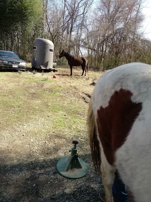 Scarlett Mobile Large Animal Services Picture 9