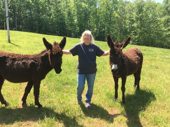 Scarlett Mobile Large Animal Services Picture 8