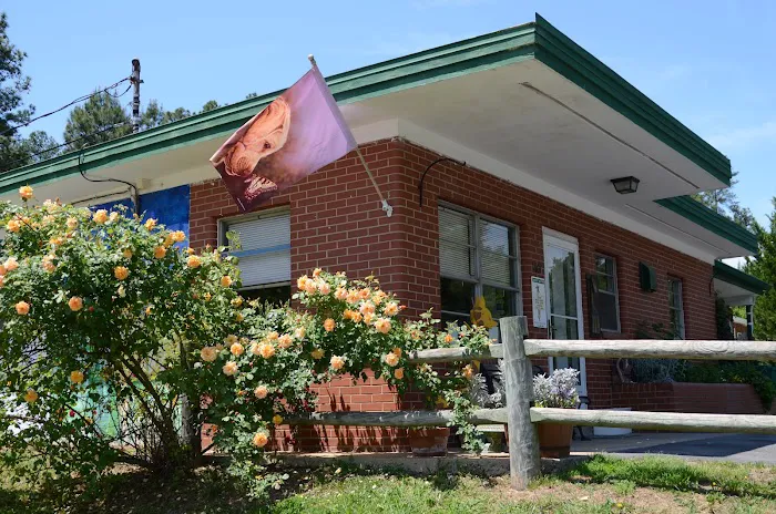 Tysor Veterinary Clinic Picture 2