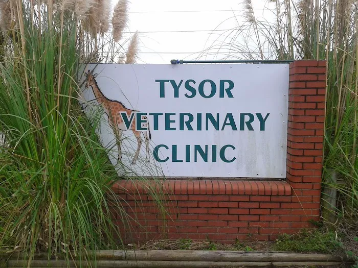 Tysor Veterinary Clinic Picture 9