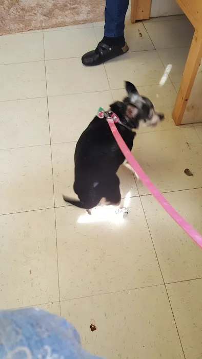 Tysor Veterinary Clinic Picture 3