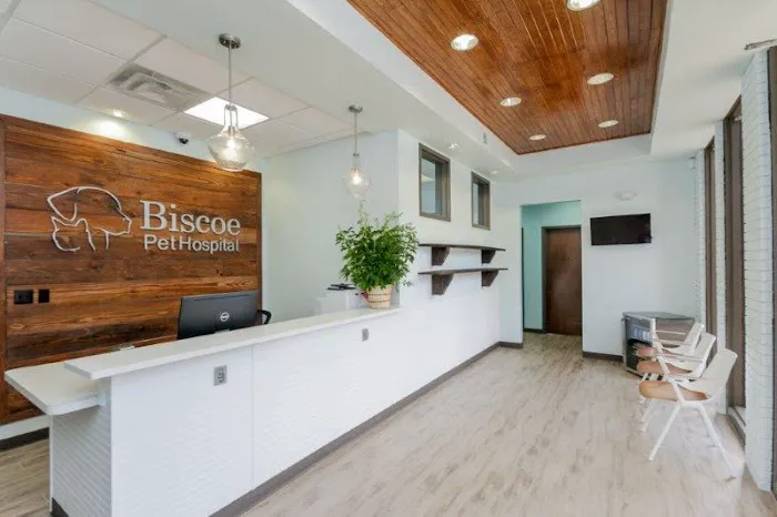 Animal Hospital Biscoe Picture 7