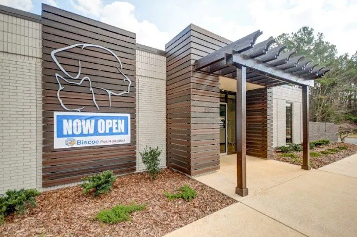 Animal Hospital Biscoe Picture 10