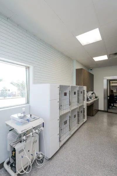 Animal Hospital Biscoe Picture 8