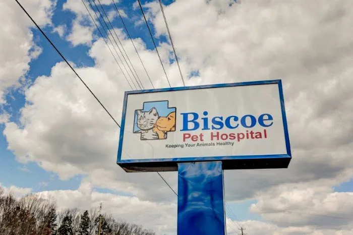 Animal Hospital Biscoe Picture 5