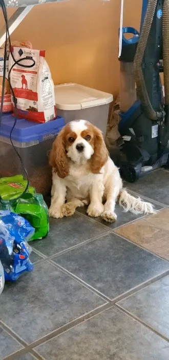 Burnsville Veterinary Clinic Picture 7