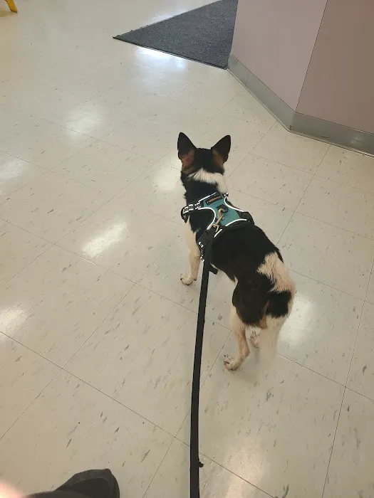 Burnsville Veterinary Clinic Picture 10