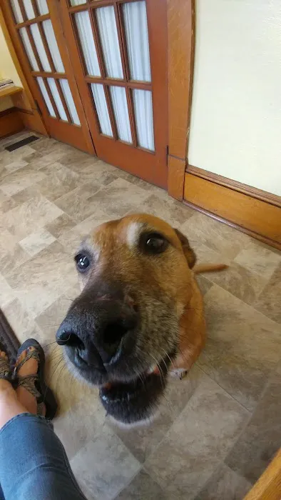 Cane River Veterinary Wellness Picture 4