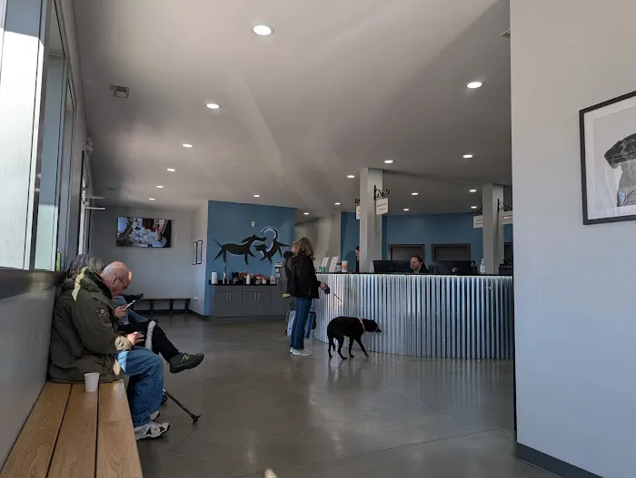 Animal Hospital of Marion Inc. Picture 7