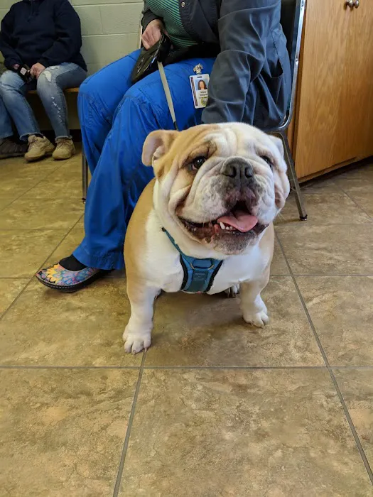 Animal Hospital of Marion Inc. Picture 10
