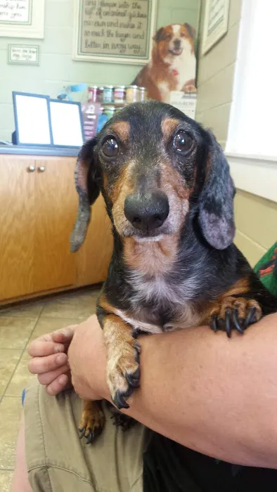 Animal Hospital of Marion Inc. Picture 5