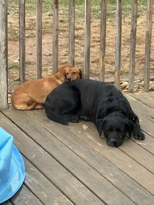 Appalachian Animal Hospital Picture 4