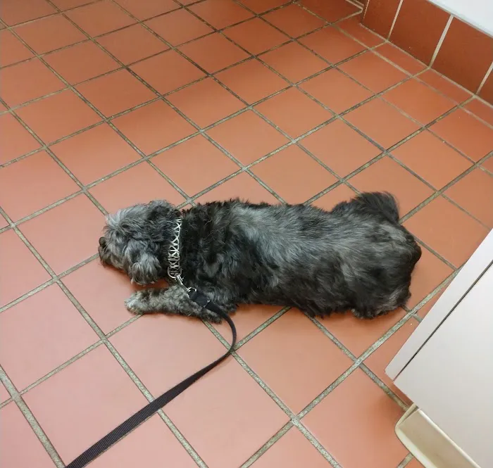 Appalachian Animal Hospital Picture 1