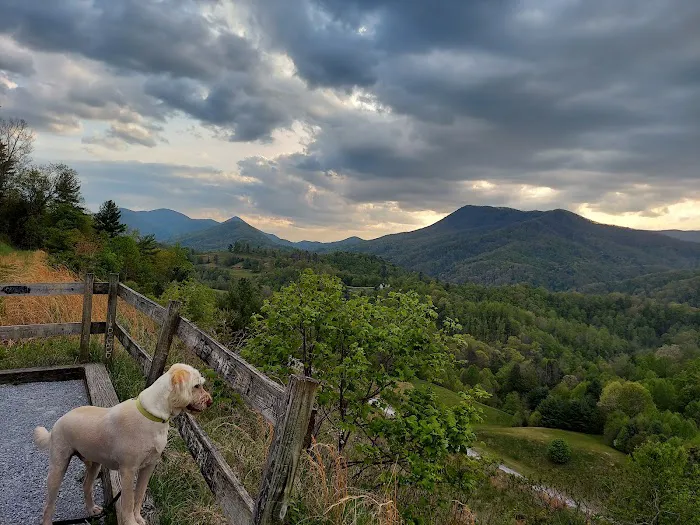 Appalachian Animal Hospital Picture 7