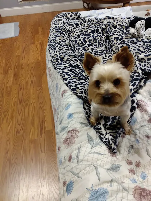 Young's Animal Hospital Picture 3