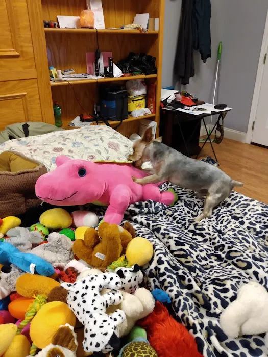 Young's Animal Hospital Picture 6