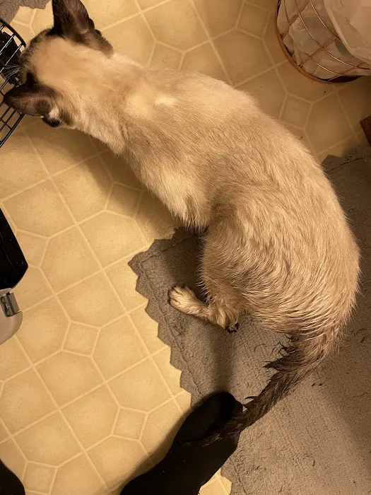 Young's Animal Hospital Picture 8