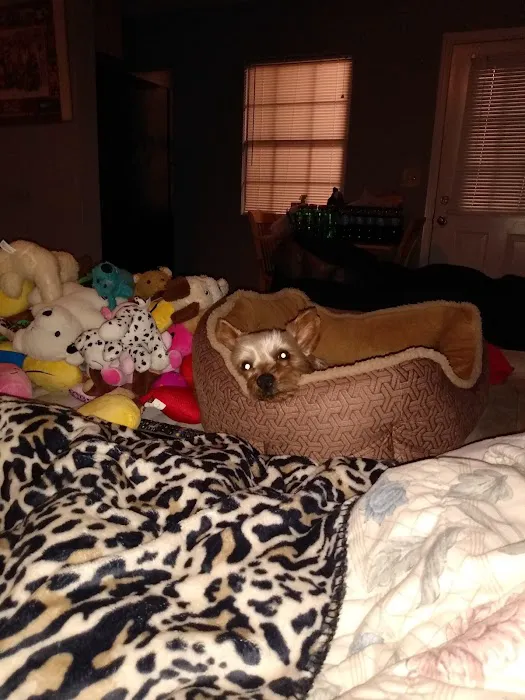 Young's Animal Hospital Picture 5