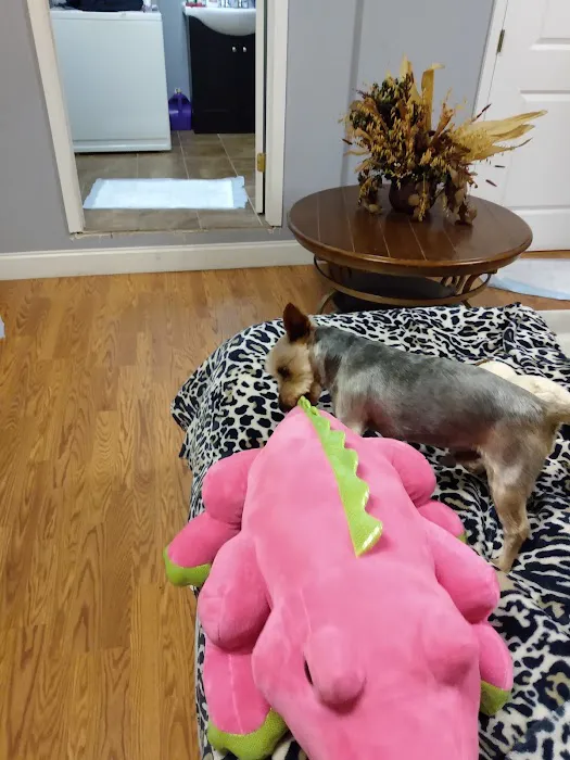 Young's Animal Hospital Picture 1