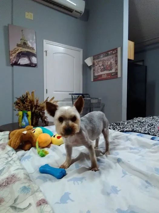 Young's Animal Hospital Picture 4