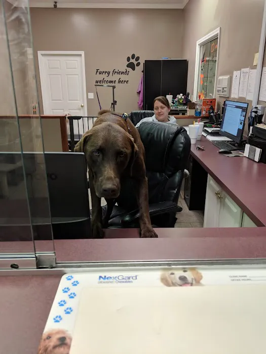 Blue Ridge Animal Hospital Picture 2