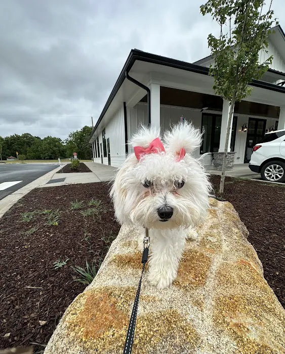 Neuse River Veterinary Hospital Picture 8