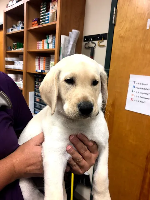 Plantation Park Animal Hospital Picture 8
