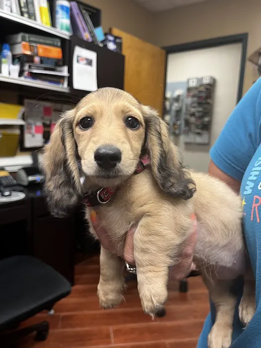Plantation Park Animal Hospital Picture 4