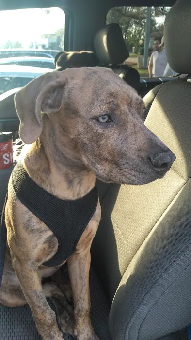 Nash County Animal Hospital Picture 1