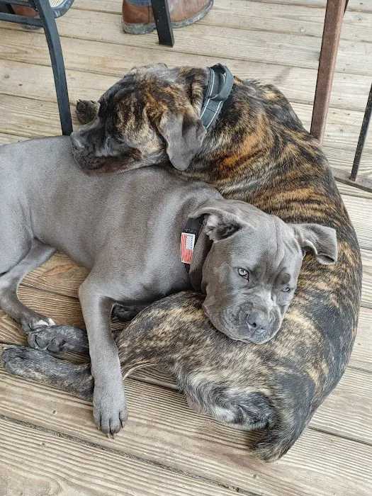 Nash County Animal Hospital Picture 9