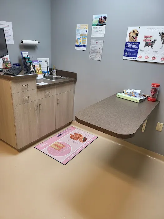 Nash County Animal Hospital Picture 10