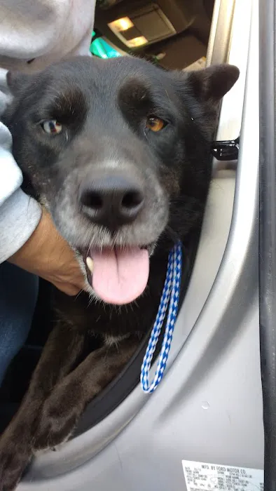 Nash County Animal Hospital Picture 2