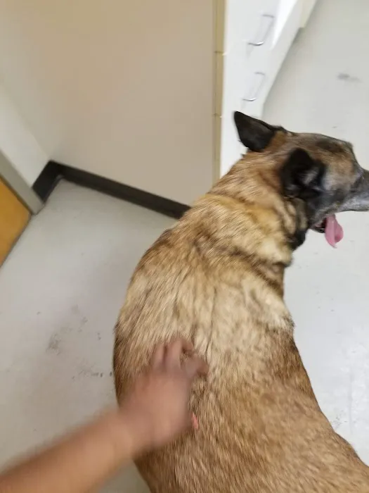 Benvenue Animal Hospital Picture 3