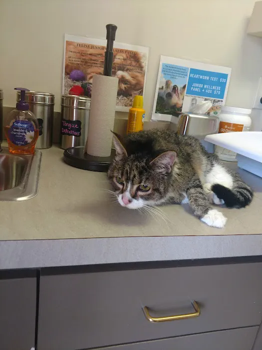 Coats Veterinary Hospital Picture 4
