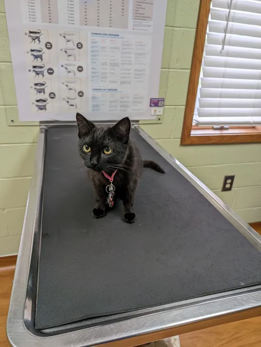 Hicks Animal Clinic Picture 4