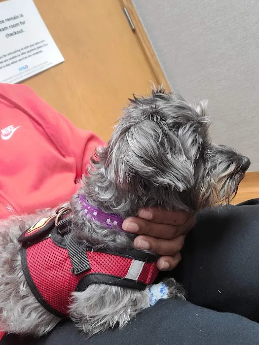 Hicks Animal Clinic Picture 3
