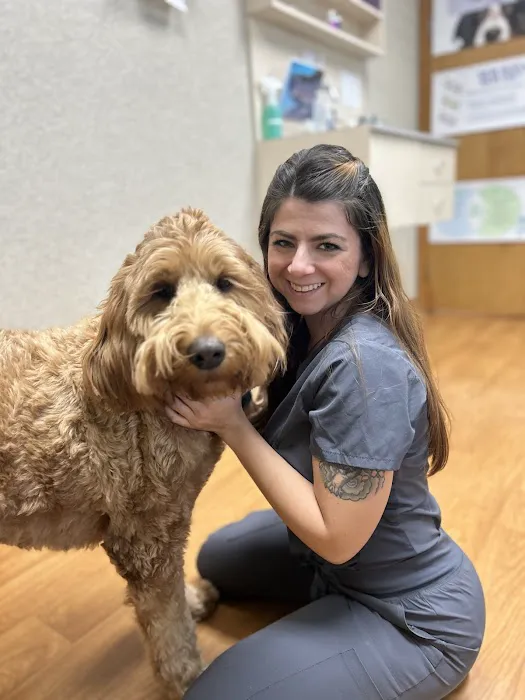 Hicks Animal Clinic Picture 5