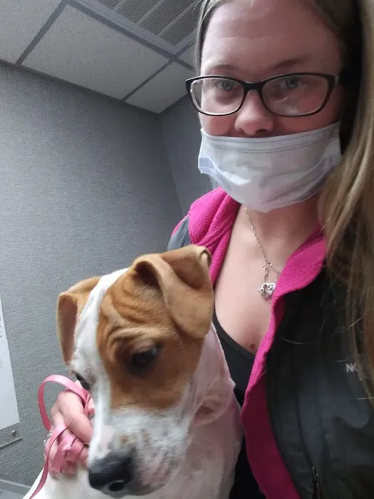 Hicks Animal Clinic Picture 1