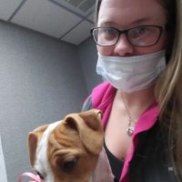 Hicks Animal Clinic ico
