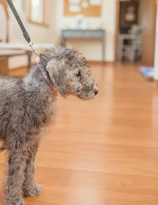 Hicks Animal Clinic Picture 9