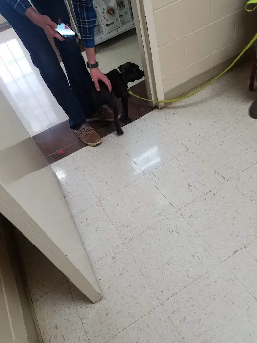 Nature Veterinary Center, Inc. Picture 3