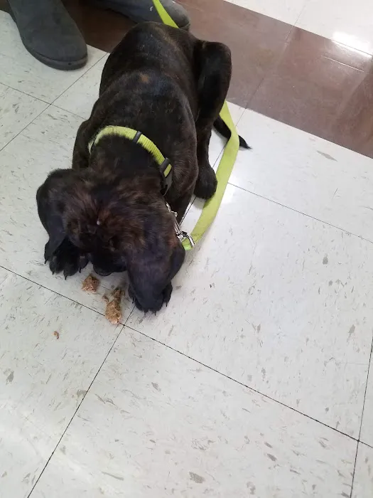 Nature Veterinary Center, Inc. Picture 4