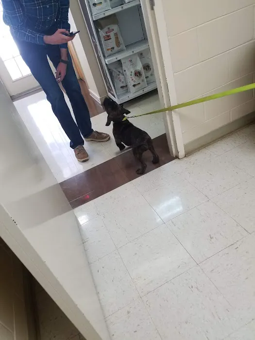Nature Veterinary Center, Inc. Picture 2