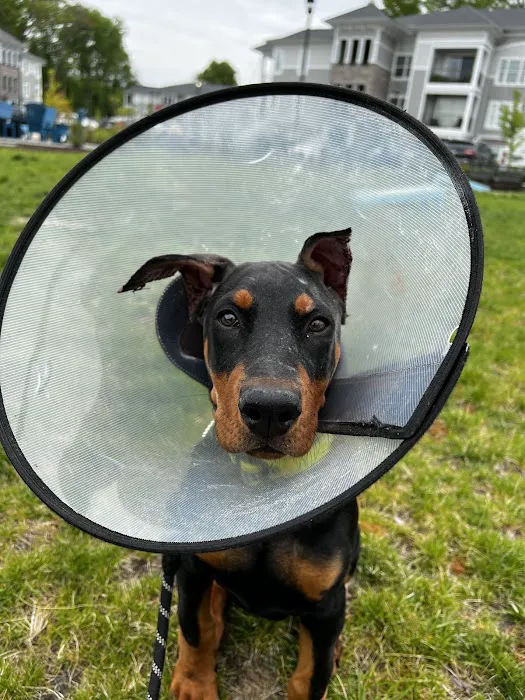La Crosse Animal Hospital Picture 5