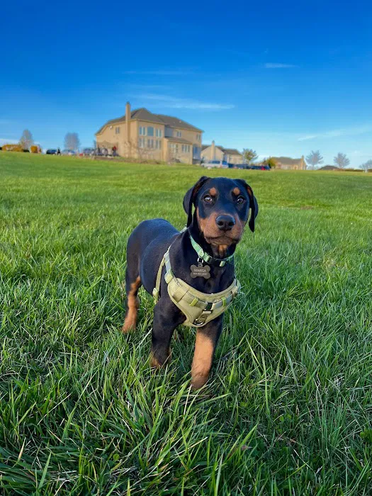 La Crosse Animal Hospital Picture 10