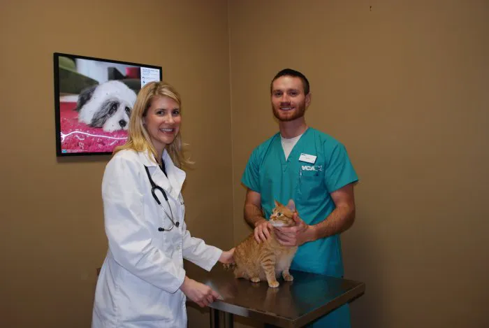 VCA Triangle Tower Animal Hospital Picture 6